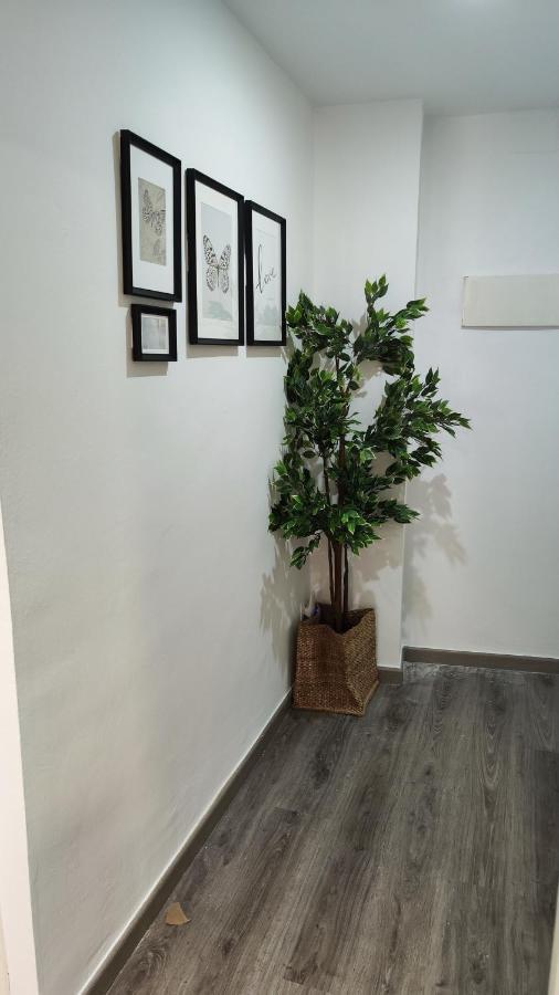Boutique 2 Ave Centro * Lleida